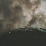 Wild Fires